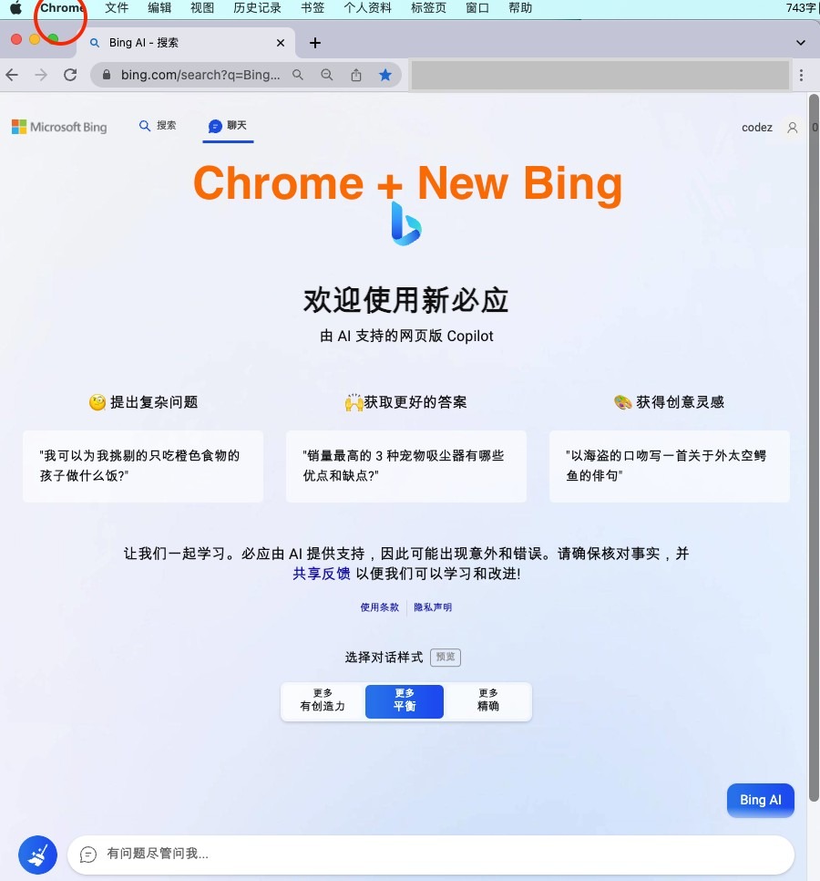 微软New Bing完美聊天机器人源码,支持ChatGPT提示词 国内可用,基本兼容微软 Bing AI 所有功能